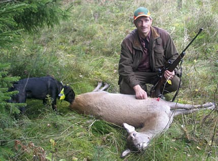 Mikael Fyhr med sin andra hjort för dagen. Gråwachteln Tindra luktar på ”sin" hjort.
