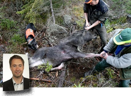 Varnar om älgjakten. Erik A Eriksson (c), den infällda bilden, befarar att mindre markägare kommer att förlora sin älgjakt. 