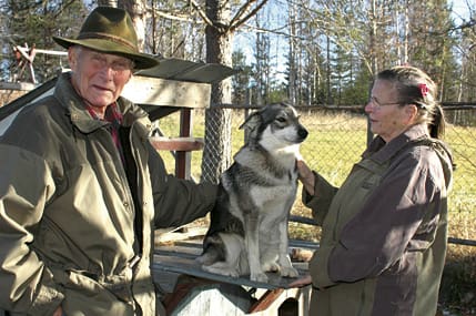 Oroliga hundägare. Henry och Irene Matsson med Minne och den lagade hundgården. Gråhunden var nära att stryka med när en björn försökte ta sig in.