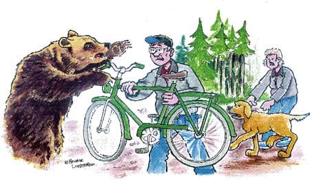 Arg björn. Leif och Elisabeth Nybacke fick freda sig med en cykel när de var ute och rastade sin hund och mötte en arg björn.