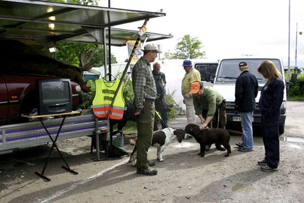 På marknaden vid Rocklunda i Västerås informerades om viltolyckor. Foto: Eva-Lotta Jidesjö