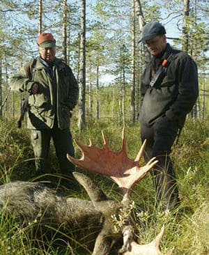 Magnus Furmark fällde denna stora tjur och startade spekulationer om var storoxen hållit till.