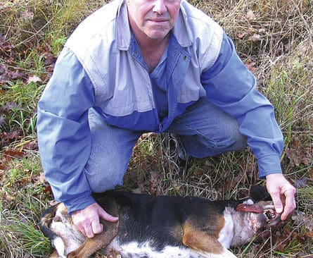 Tony Törngren undersöker sin hund och upptäcker att framtänderna i överkäken är avslagna. Tiken har dessutom avlivats med ett skott i huvudet.