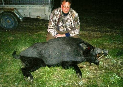 Personligt rekord. Peter Carlsson och vildsvinsgalten som vägde 136 kilo.
