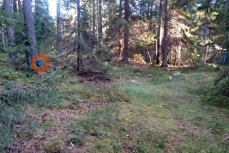 Inringad till vänster sitter åtelkameran som Björn Henricsson plötsligt upptäckte att han var mitt framför.