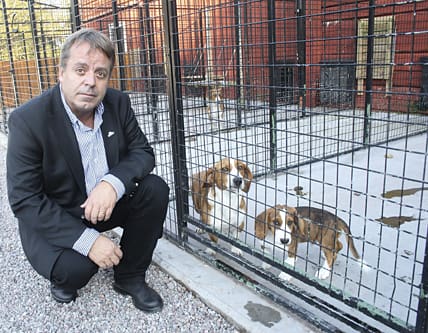 – Jag känner mig rättslös, säger Christer Filipsson, ägare till Filipgårdens kennel, om Svenska kennelklubbens avstängning.