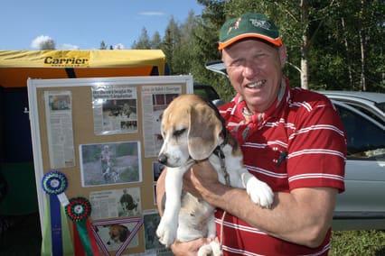 Arne Sjöholm, Gävle-Dala Beagleklubb, visade upp Lina, som har en meritlista så lång att den inte får plats i den här bildtexten. Bäst i Sverige är hon i alla fall.
