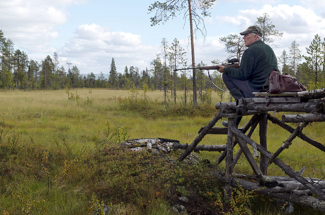Enligt ett förslag från Naturvårdsverket ska jakttiderna ses över vart sjätte år. Jägarnas Riksförbund välkomnar att arbetet med jakttider struktureras.