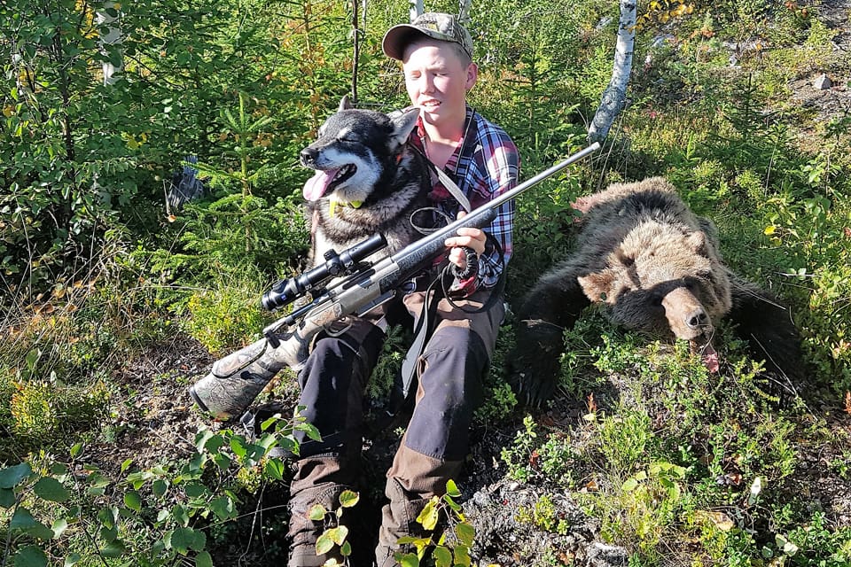 15-årige Albin Brenje fällde sin första björn på ståndskall. Det är sammanlagt tre björnar som fällts av ung jägare under uppsiktsjakt i det jämtländska jaktlaget Storåbränna under årets jakt.