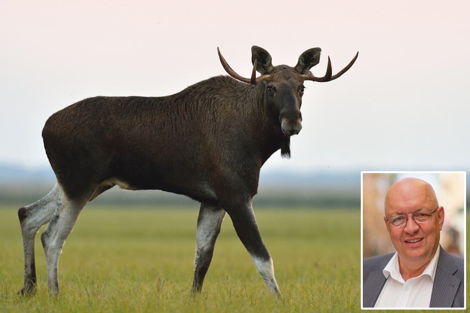 Moderaternas landsbygdspolitiske talesman Ulf Berg menar att Naturvårdsverkets nya strategi går emot riksdagens beslut och att Miljöpartiet inte vill ha en viltmyndighet.