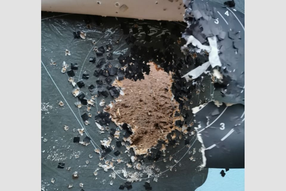 Explosionen orsakade ett fyra decimeter stort hål i älgfiguren.