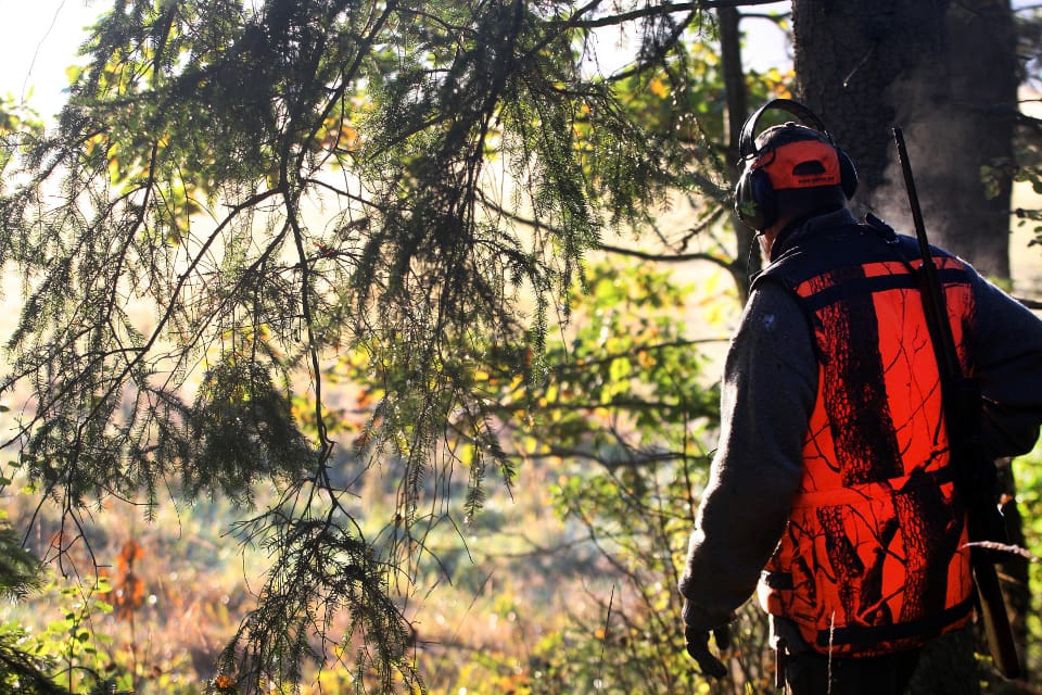– Inget land i västvärlden har så svag jakttillsyn som Sverige, säger Robert Franzén till Natursidan.se.