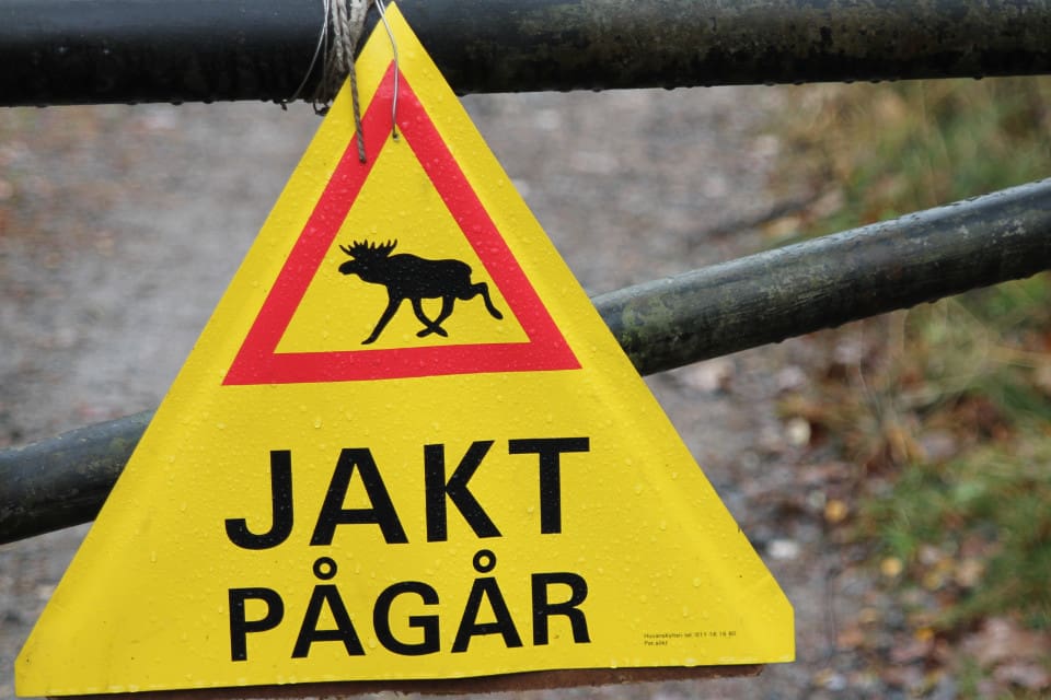 Fem dagar per år har föräldrar som är lediga från jobbet för att jaga möjlighet att få barnomsorg i kommunerna Strömsund och Krokom i Jämtland.