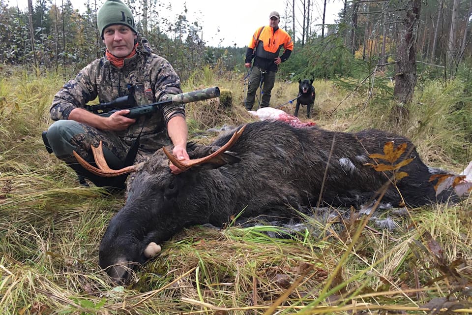 Det gäller att hantera riskerna för covid-19 när hundratusentals jägare börjar jaga älg tillsammans på måndag i södra Sverige, samtidigt som smittspridningen tagit ny fart. JRF har listat några coronaråd.