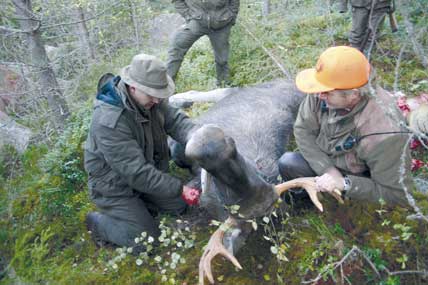 Det kan skilja mer än 100 procent i fällavgifter mellan olika län.