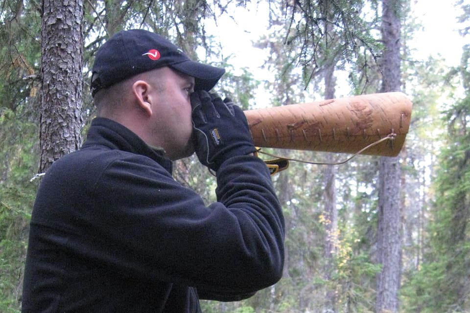 Älglock med hjälp av en näverlur. Konsten att locka på älg är ett av inslagen vid en älgfestival som anordnas i veckoslutet i Skowhegan i USA-delstaten Maine.