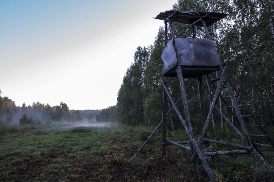Det är passen utmed en bilväg som är omkullvälta. Passen som står en bit in i skogen är orörda. (arkivbild)