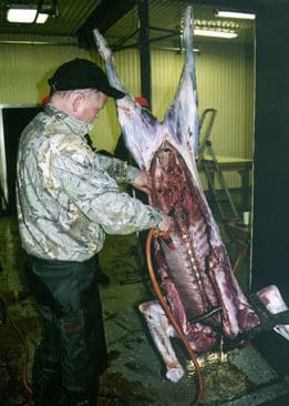 Nej, stopp! Ska älgköttet säljas till privatpersoner eller företag i Sverige ska älgen ha skinnet kvar. Annars måste jaktlagets slakteri klara kommunens inspektion och kraven på livsmedelshygien.