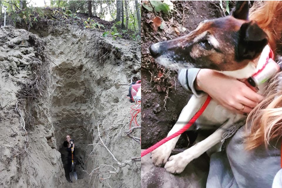 Marcus Söderlund, Helena Parkeborn (bilden) och många fler grävde och grävde i kompakt sand för att få ut foxterriern Alva.