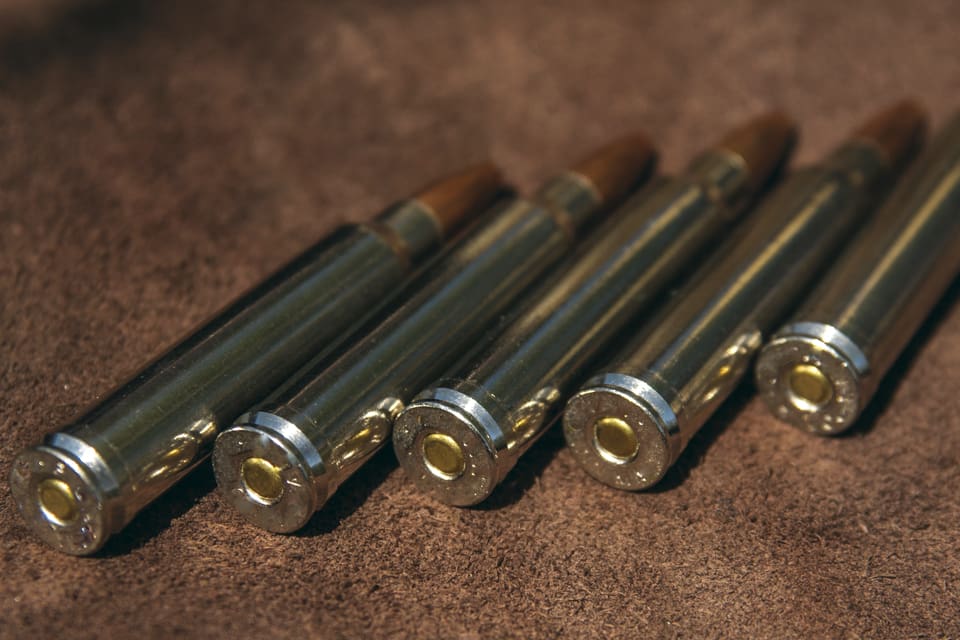 Tyska jägare anser att det kan leda till djurplågeri när man använder annan jaktammunition än de som innehåller bly och kan expandera.