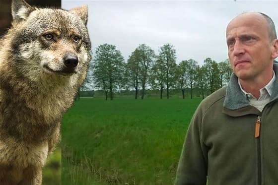 Anders Broby är missnöjd med de regler som länsstyrelsen i Stockholm ställt upp för skyddsjakten på en varg i Sjundareviret. Bland annat sätter länsstyrelsen stopp för användning av löshund.