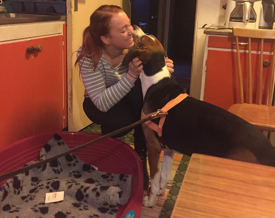 Stövaren Arja tackar så mycket för den fina sängen och hubdgodiset som Sofie Rockmyr från Stellafonden hade med sig som bonus.