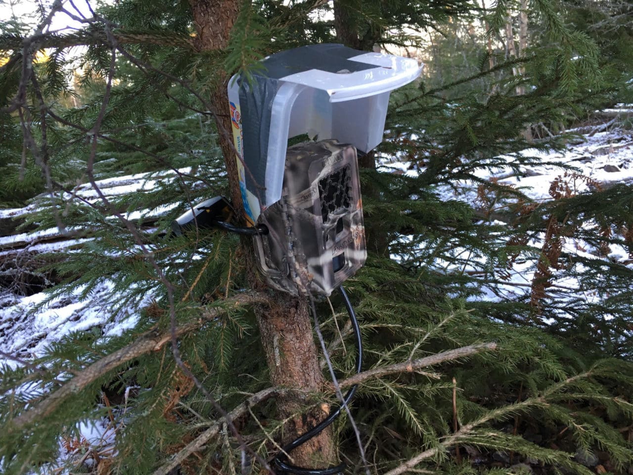 Personalen på länsstyrelsen i Västmanland hävdar att de såg fel på kartan när de monterade upp en rovdjurskamera på en privat mark.