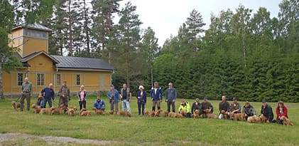 Jubilarer. Svenska Basset Faube Klubben firade 10 år.