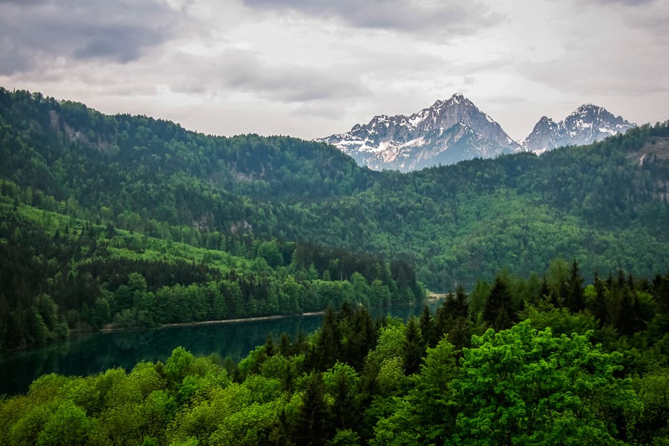 Den tyske politikern och skogvaktaren Markus Ganserer vill öka jakten på rådjur, hjortar och alpgetter i delstaten Bayern för att skona skogen.