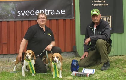 NVCH Gullknapp’s Enja NO53766/10, med ägare Berit Seljåsen Froland Norge, vann ordinarie spår.