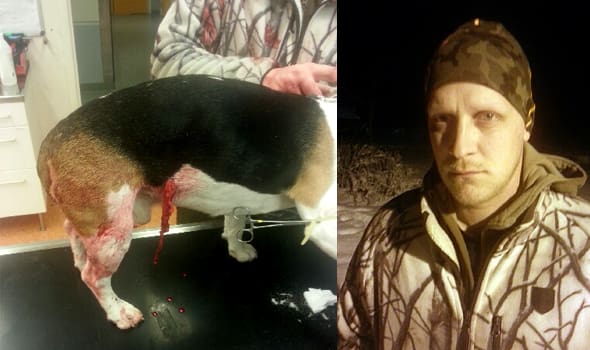 Magen uppsprättad. När Henrik Larsson fick tag i sin hund var den svårt vargbiten.