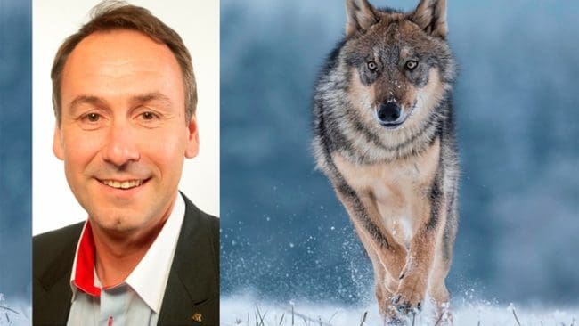 För att tillkännagivanden i riksdagen om till exempel nya regler för skyddsjakt på varg eller lättnader för vapenägare ska kunna verkställas behövs en nyordning, föreslår m-politikern Sten Bergheden.