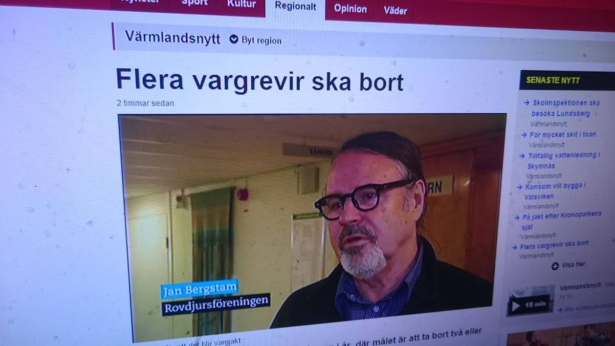 Värmlandsnytts scoop. Jan Bergstam i Rovdjursföreningen tycker att det är dags för licensjakt på varg.