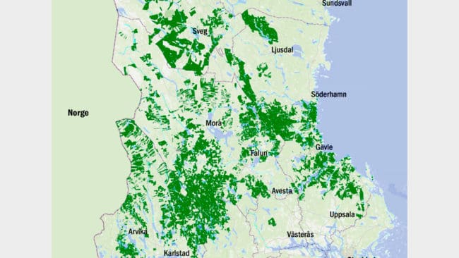 10 000-tals jägare på sammanlagt 2,3 miljoner hektar i Mellansverige sägs upp från sina marker när Bergvik Skog omstrukturerar ägandet. De aktuella markerna är markerade med grönt på kartan.