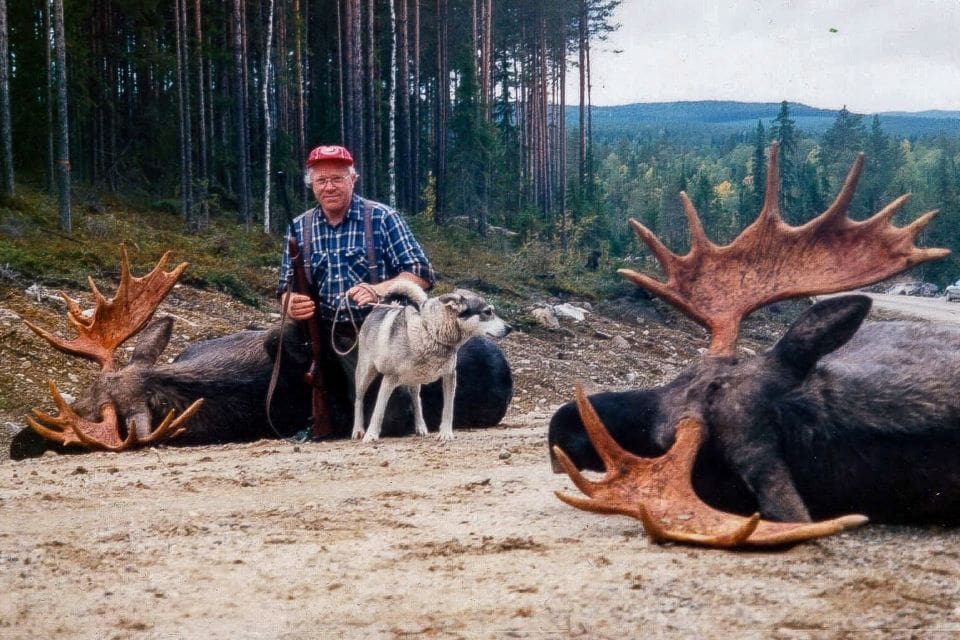 Bernt Lindqvist har jagat i hela sitt liv. Här med två av de hundratalet älgar han fällt genom åren.