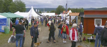 Jämfört med förra året kom 1 000 extra besökare till Fäviken som i år hade närmare 28 500 personer på området under de tre utställningsdagarna.