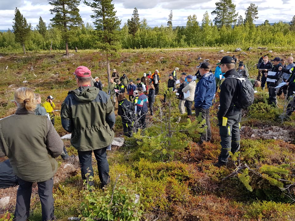 Hygget ligger på en halvö ut i sjön Hornavan och är en naturlig uppsamlingsplats för vandringsälgar i området. Den här platsen är ett bra exempel på hur olika myndigheter kan dra åt olika håll när det gäller älgjakt och skogsfrågor.