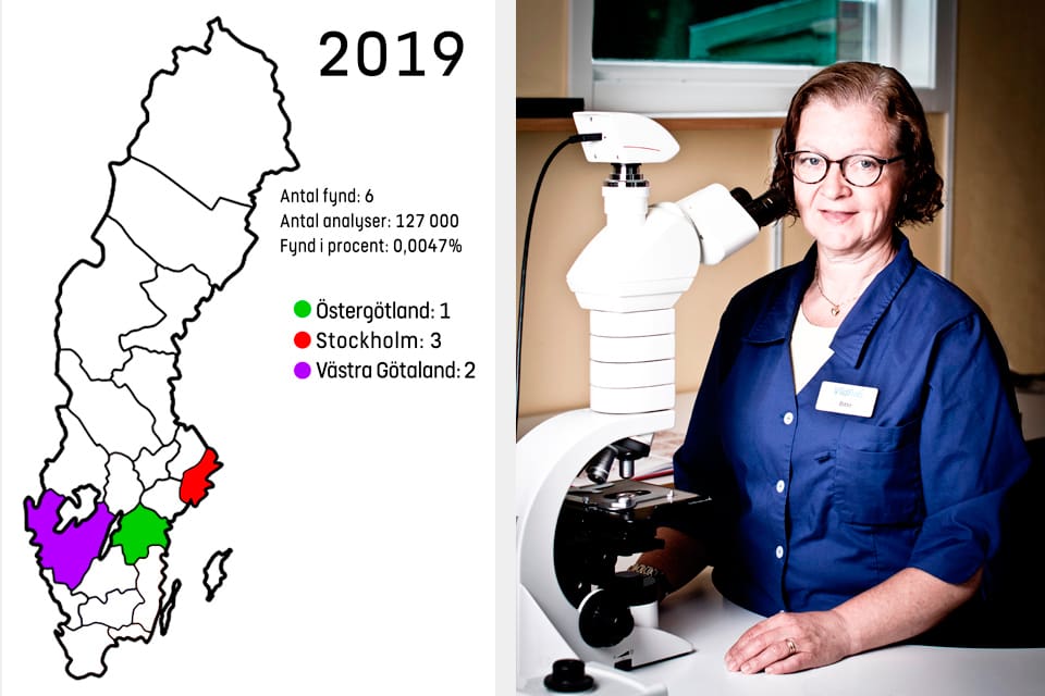 Bitte Ljungström på Vidilab AB konstaterar att årets första trikinvildsvin noterats. Förra året gjordes cirka 127 000 trikinanalyser på vildsvin vid landets tre stora ackrediterade laboratorer. Det gav endast sex trikinfynd.