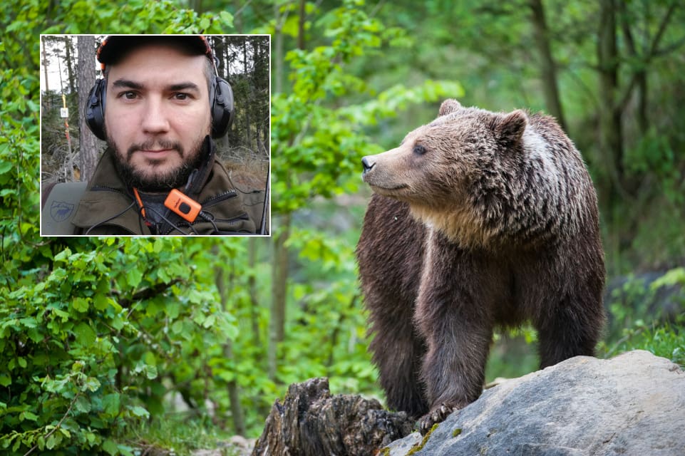 – Björnstammen minskar inte i Dalarna med detta beslut, säger JRF:s distriktsordförande Martin Lundgren.
