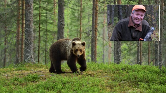 – Med tanke på alla björnobservationer som gjordes under älgjakten i fjol och alla observationer som allmänheten har gjort i år var det självklart för oss att överklaga, säger Sten Sandgren.