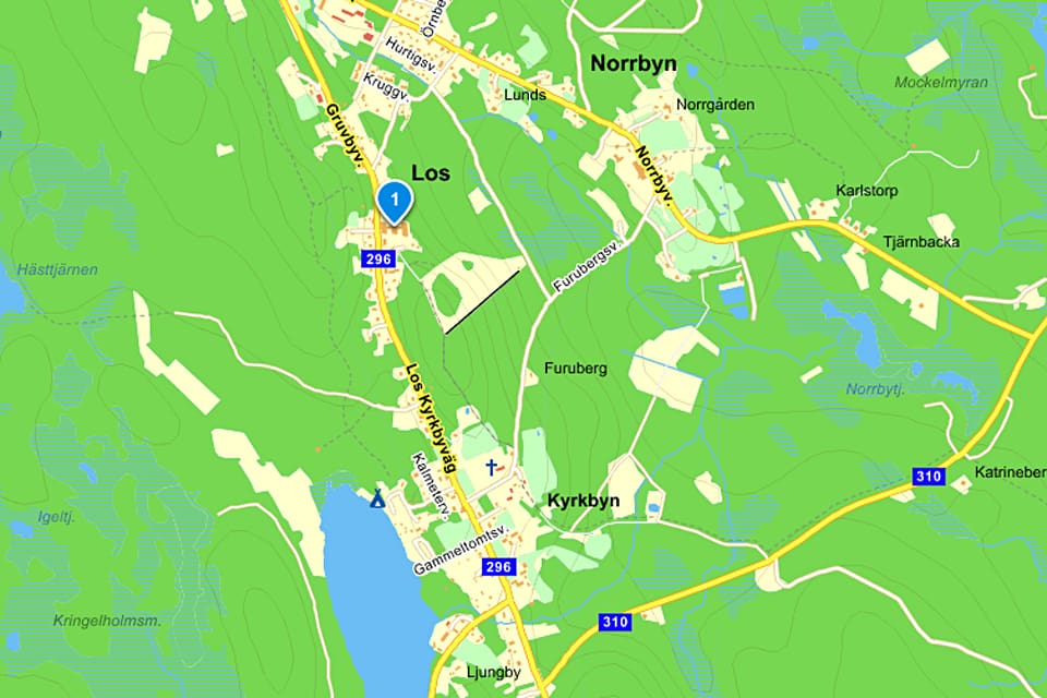 En ung björnhona på cirka 40 kilo sköts vid 21-tiden på måndagskvällen 20 meter från en bostad nära ålderdomshemmet i Los.