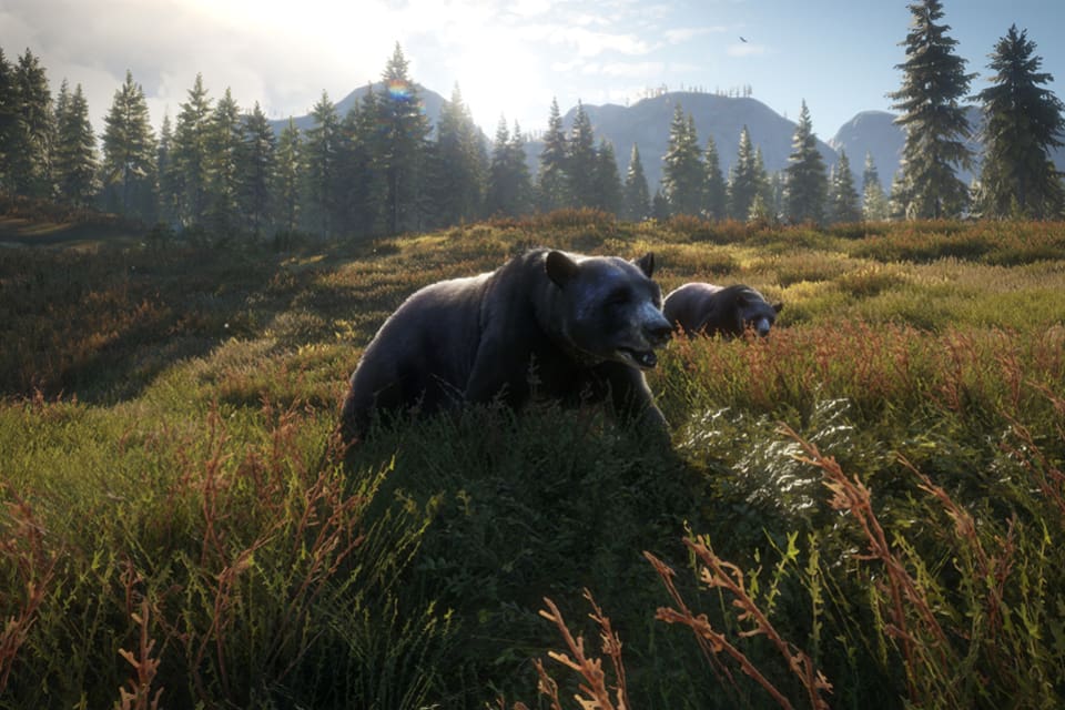 Så här ser det ut när vilt som björn dyker upp i den virtuella jaktmarken i "The Hunter: Call of the Wild".
