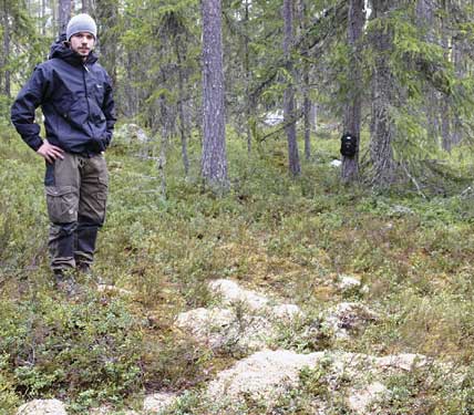 Magnus Hansson visar ”pressåteln” som används för att informera media om björnåtelprojektet. Vid åtlarna läggs framför allt betfor, melass, majs, och fisk. Även viltkött används i mån av tillgång.