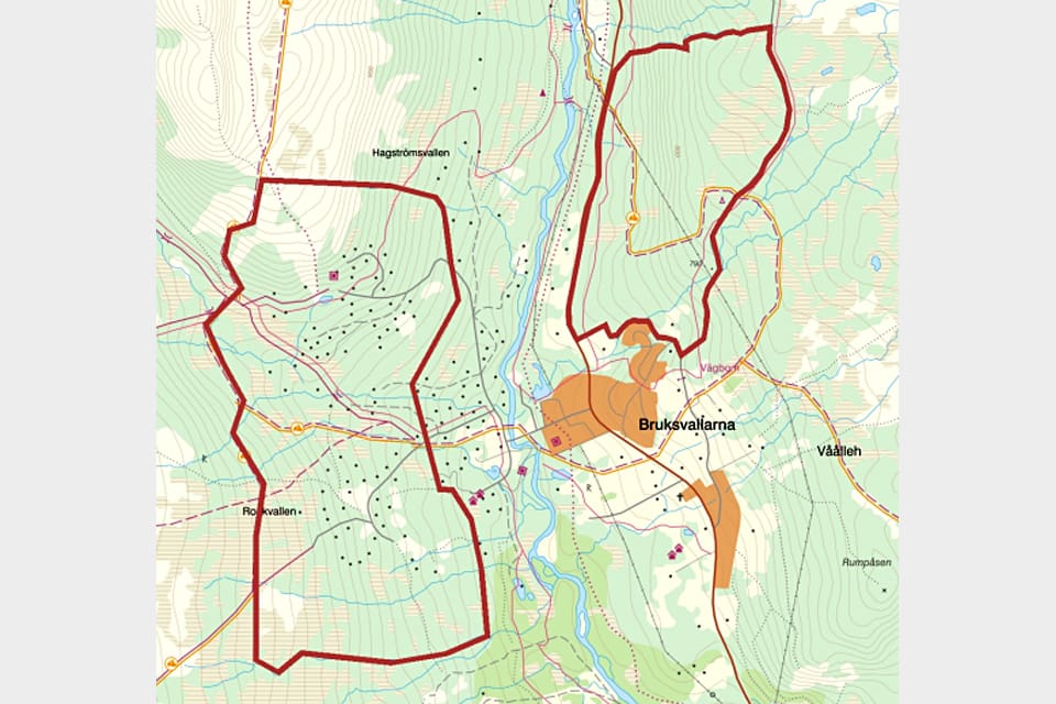 En björn har sammanlagt dödat 13 får på olika fäbodvallar och även fått kor att vid två tillfällen fly i panik genom elstängsel. Därför tillåts skyddsjakt på björnen i två områden norr och väster om Bruksvallarna i Jämtland.