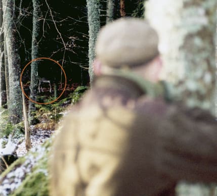 Christer Ferm har tagit stöd med studsaren mot ett litet träd och väntar in ett eventuellt läge för skott. Han visslar till och hinden stannar till i steget, bakom ett träd förstås. Det känns som en evighet innan hinden oroligt går fram ett par steg. Skottfältet är helt fritt och Christer låter Tikkans 6,5-kula löpa.