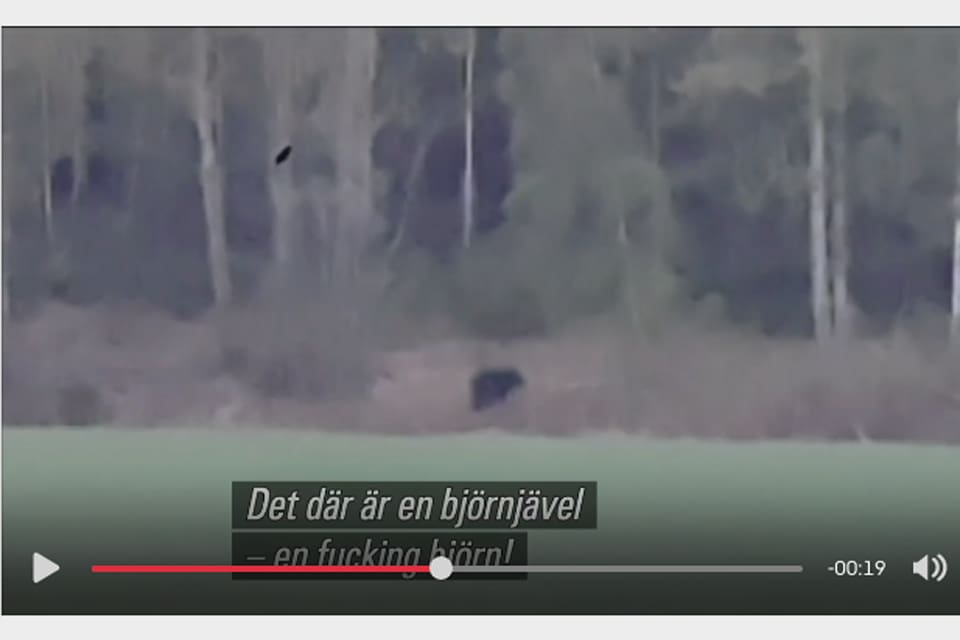 Det var troligen en ung björnhanne på vandring som filmades norr om Stockholm på söndagskvällen. Länsstyrelsen ska spåra mer i området i Upplands-Bro under måndagen.