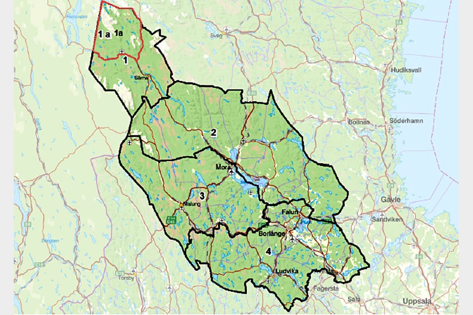 Det blir även i år licensjakt på totalt 48 björnar i Dalarna. Kvoten är fördelad på fyra områden. Honvkoter i den västra och södra delen gör att jakten stryps för att få fler björnar söder ut.