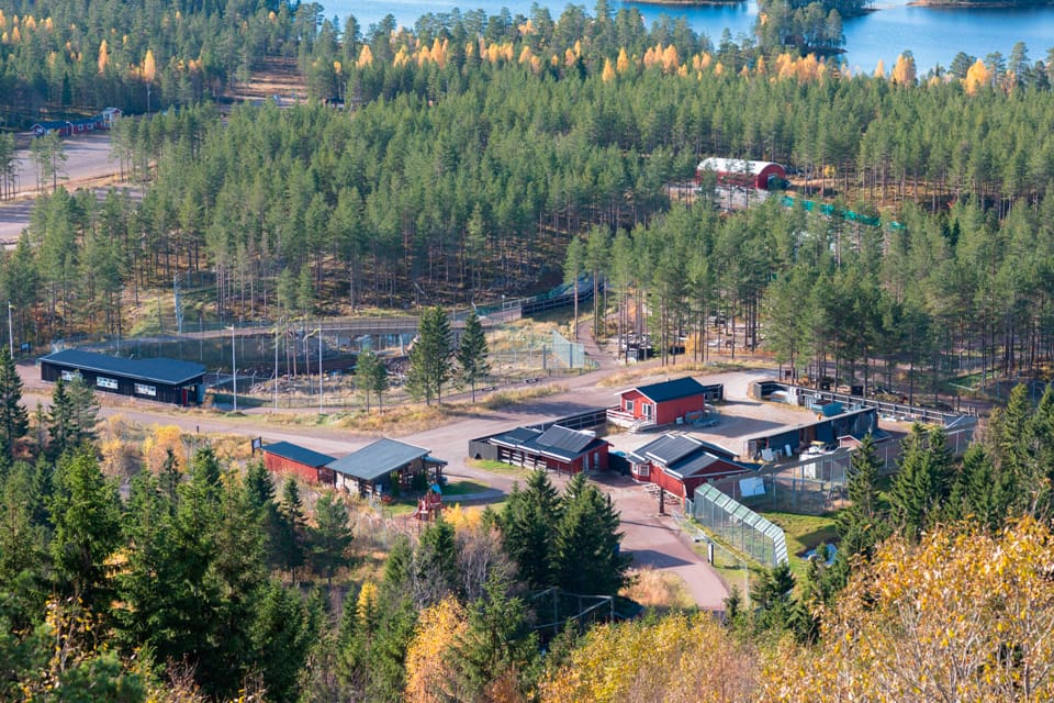 En djurskötare i Orsa björnpark avled efter en björnattack i närheten av en besökande barnfamilj.