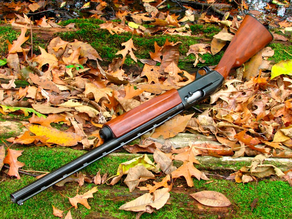 Vapen som beslagtagits hos tjuvjägare ska säljas på auktion. Totalt är det 387 bössor som viltmyndigheten i Minnesota avyttrar för att få in mer pengar till verksamheten.