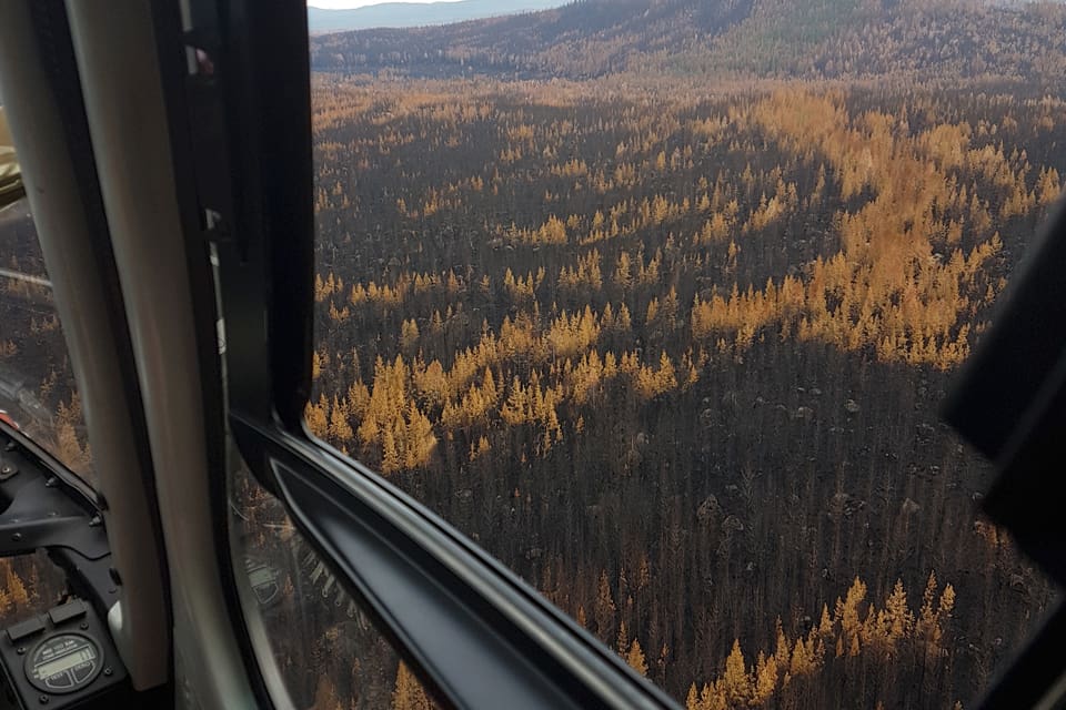 Flygfoto från ett skogsbrandområde på marker som tillhör Holmen Skog. Nu har skogsbolaget kompenserat jägare som drabbats av sommarens bränder.
